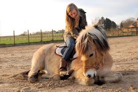 Liggen